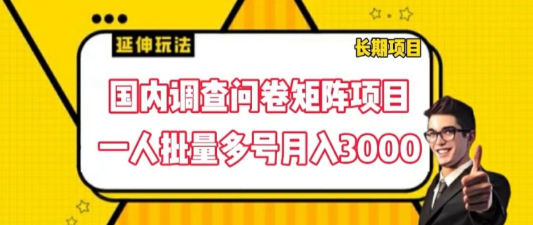 国内调查问卷矩阵项目，一人批量多号月入3000【揭秘】-无双资源网