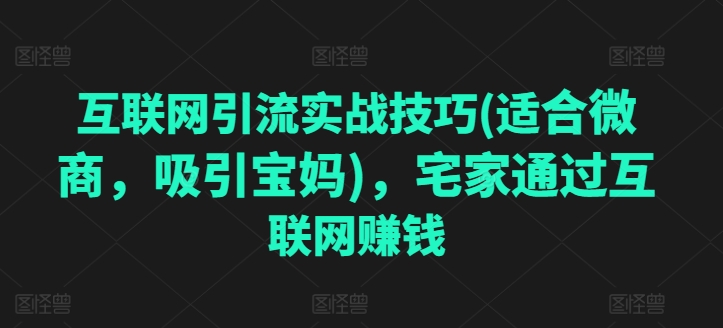 互联网引流实战技巧(适合微商，吸引宝妈)，宅家通过互联网创钱-无双资源网