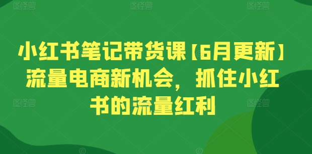 小红书笔记带货课【6月更新】流量电商新机会，抓住小红书的流量红利-无双资源网