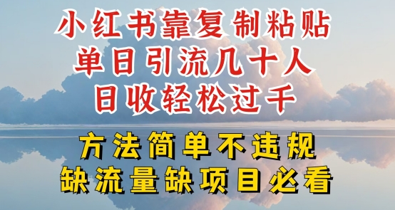 小红书靠复制粘贴单日引流几十人目收轻松过千，方法简单不违规【揭秘】-无双资源网