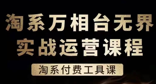 淘系万相台无界实战运营课，淘系付费工具课-无双资源网