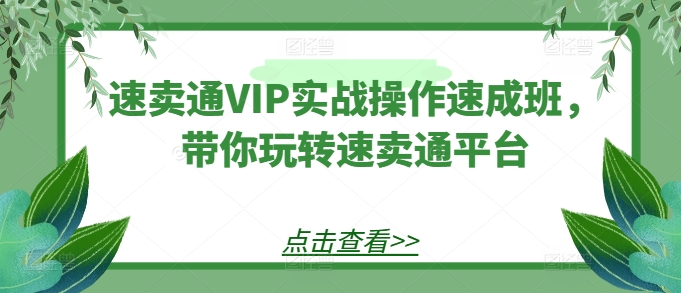 速卖通VIP实战操作速成班，带你玩转速卖通平台-无双资源网