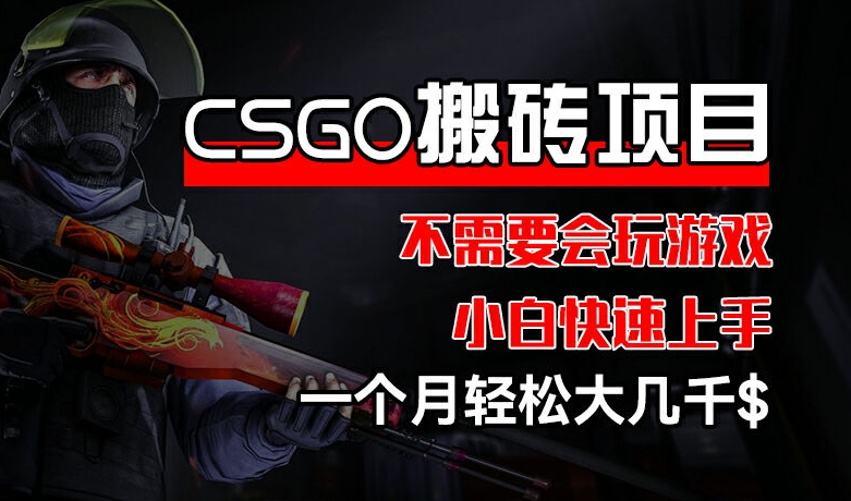 CSGO 装备搬砖项目，操作简单，不需要会玩游戏，小白也能快速上手，一个月轻松大几千【揭秘】-无双资源网