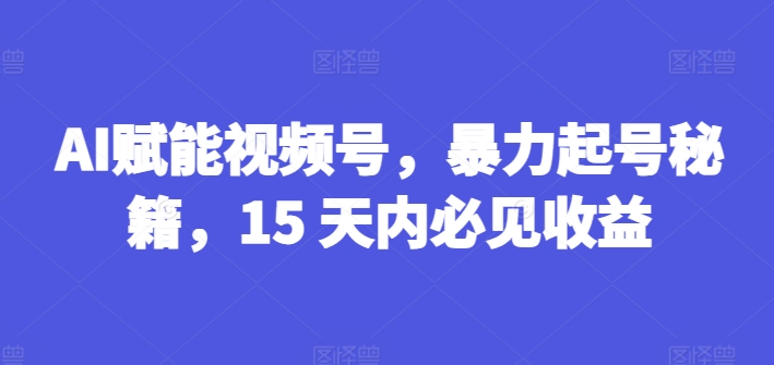 AI赋能视频号，暴力起号秘籍，15 天内必见收益【揭秘】-无双资源网