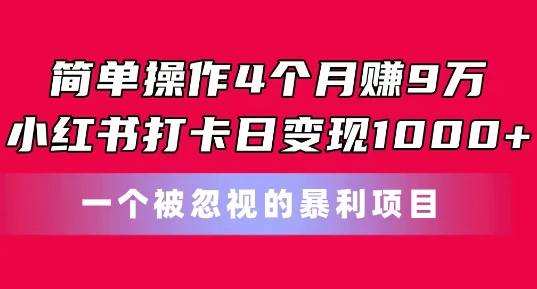 简单操作4个月赚9w，小红书打卡日变现1k，一个被忽视的暴力项目【揭秘】-无双资源网