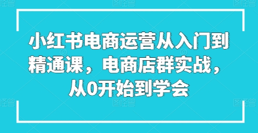 小红书电商运营从入门到精通课，电商店群实战，从0开始到学会-无双资源网