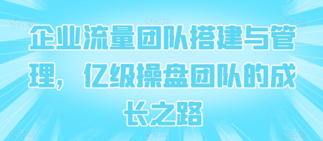 企业流量团队搭建与管理，亿级操盘团队的成长之路-无双资源网