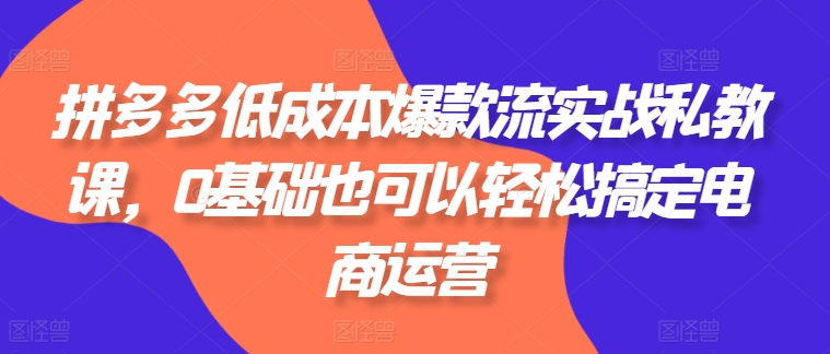 拼多多低成本爆款流实战私教课，0基础也可以轻松搞定电商运营-无双资源网