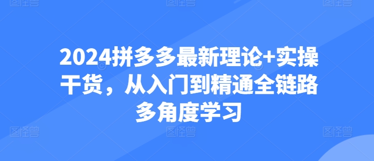 2024拼多多最新理论+实操干货，从入门到精通全链路多角度学习-无双资源网