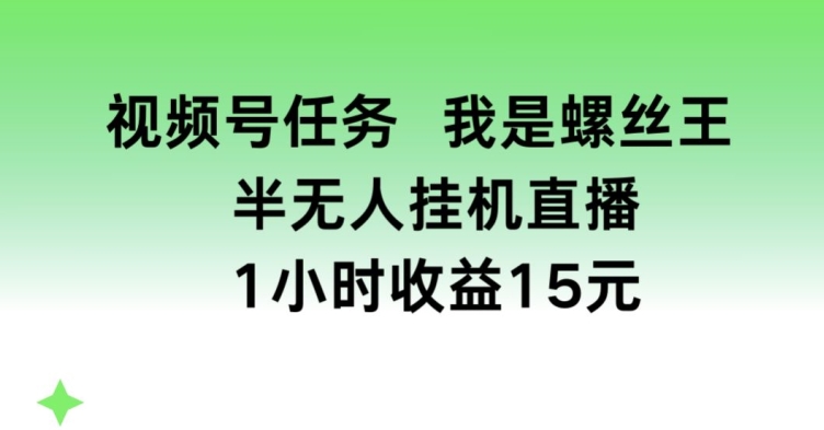 视频号任务，我是螺丝王， 半无人挂JI1小时收益15元【揭秘】-无双资源网