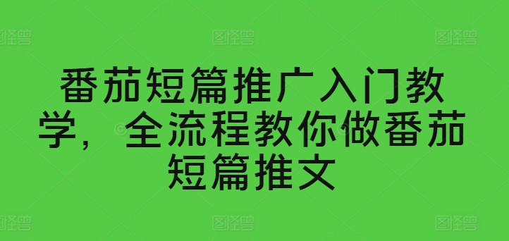 番茄短篇推广入门教学，全流程教你做番茄短篇推文-无双资源网