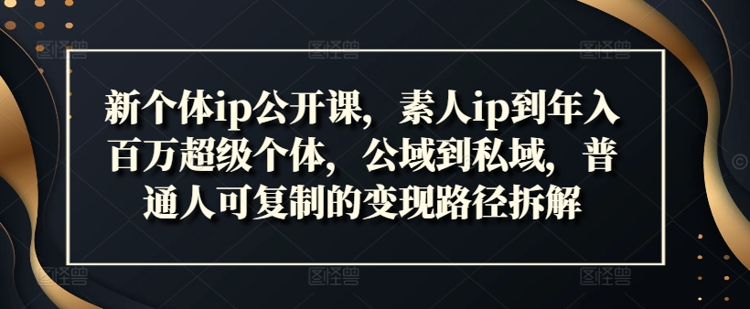 新个体ip公开课，素人ip到年入百万超级个体，公域到私域，普通人可复制的变现路径拆解-无双资源网