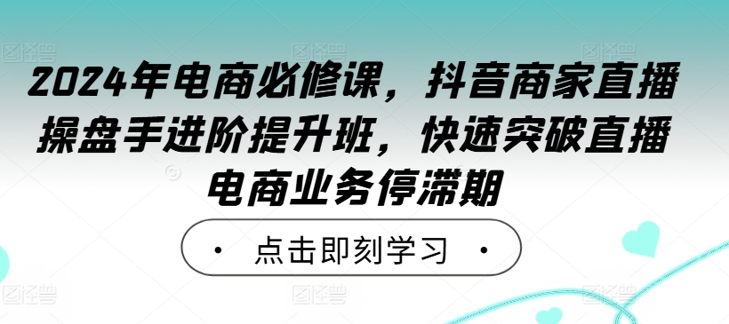 2024年电商必修课，抖音商家直播操盘手进阶提升班，快速突破直播电商业务停滞期-无双资源网