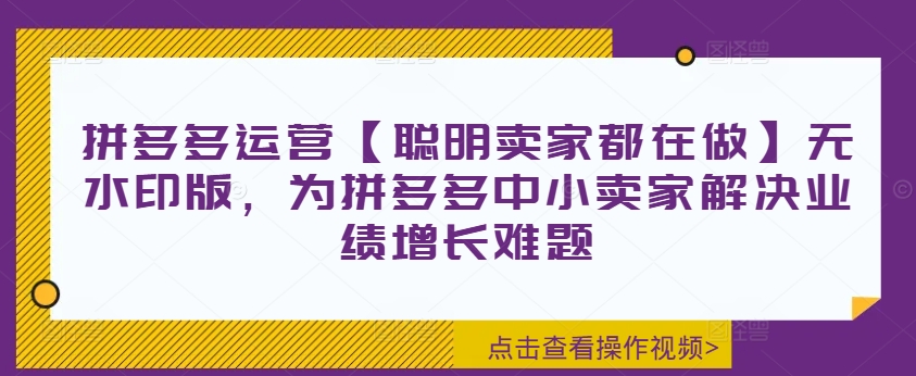 拼多多运营【聪明卖家都在做】无水印版，为拼多多中小卖家解决业绩增长难题-无双资源网