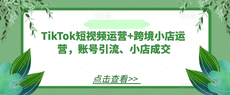 TikTok短视频运营+跨境小店运营，账号引流、小店成交-无双资源网