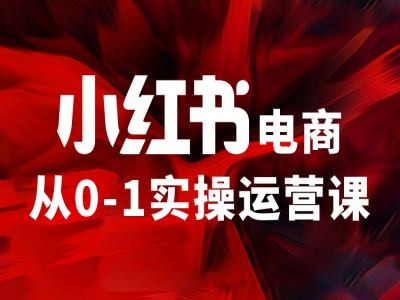 小红书电商从0-1实操运营课，让你从小白到精英-无双资源网