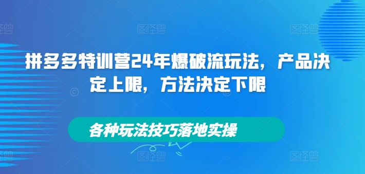 拼多多特训营24年爆破流玩法，产品决定上限，方法决定下限，各种玩法技巧落地实操-无双资源网