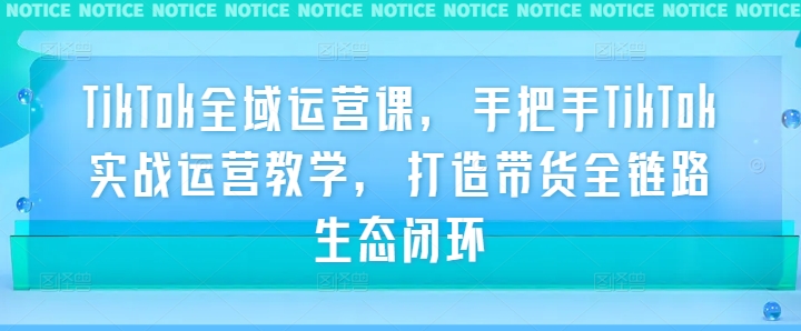 TikTok全域运营课，手把手TikTok实战运营教学，打造带货全链路生态闭环-无双资源网