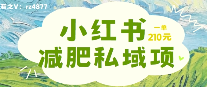 小红书减肥粉，私域变现项目，一单就达210元，小白也能轻松上手【揭秘】-无双资源网