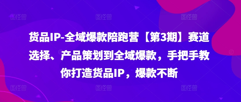 货品IP全域爆款陪跑营【第3期】赛道选择、产品策划到全域爆款，手把手教你打造货品IP，爆款不断-无双资源网