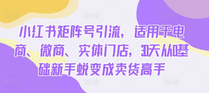 小红书矩阵号引流，适用于电商、微商、实体门店，30天从0基础新手蜕变成卖货高手-无双资源网