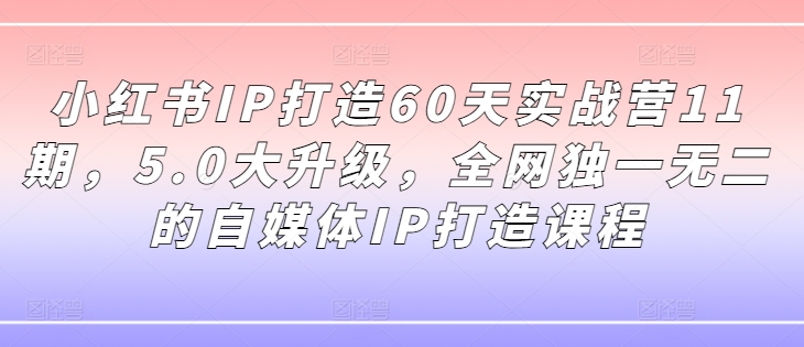 小红书IP打造60天实战营11期，5.0大升级，全网独一无二的自媒体IP打造课程-无双资源网