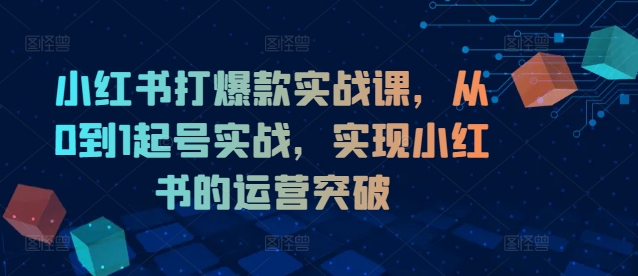 小红书打爆款实战课，从0到1起号实战，实现小红书的运营突破-无双资源网