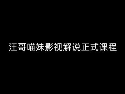 汪哥影视解说正式课程：剪映/PR教学/视解说剪辑5大黄金法则/全流程剪辑7把利器等等-无双资源网