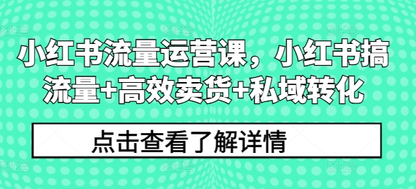 小红书流量运营课，小红书搞流量+高效卖货+私域转化-无双资源网