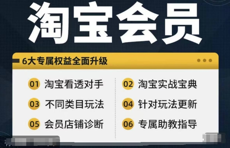 淘宝会员【淘宝所有课程，全面分析对手】，初级到高手全系实战宝典-无双资源网