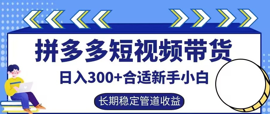 拼多多短视频带货日入300+有长期稳定被动收益，合适新手小白【揭秘】-无双资源网