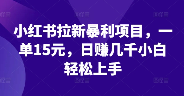 小红书拉新暴利项目，一单15元，日赚几千小白轻松上手【揭秘】-无双资源网