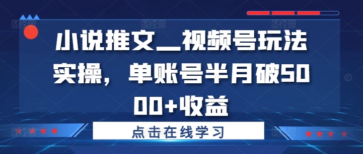 小说推文—视频号玩法实操，单账号半月破5000+收益-无双资源网