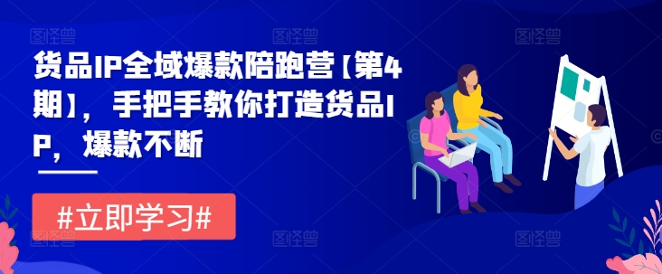 货品IP全域爆款陪跑营【第4期】，手把手教你打造货品IP，爆款不断-无双资源网