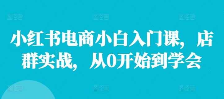 小红书电商小白入门课，店群实战，从0开始到学会-无双资源网