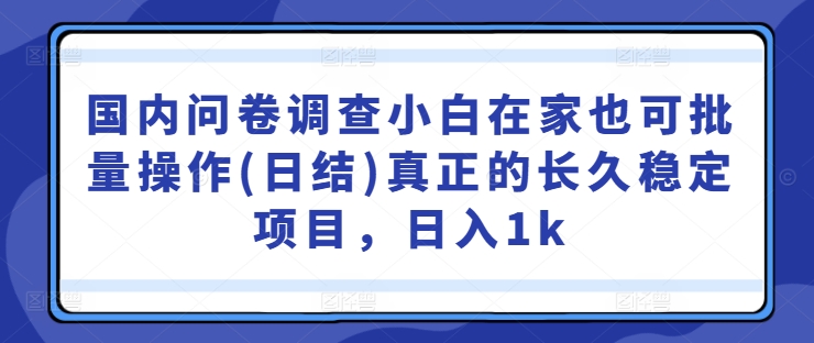 国内问卷调查小白在家也可批量操作(日结)真正的长久稳定项目，日入1k【揭秘】-无双资源网