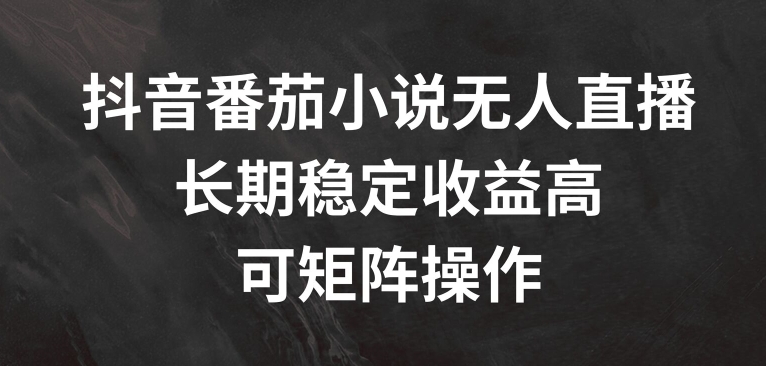 抖音番茄小说无人直播，长期稳定收益高，可矩阵操作【揭秘】-无双资源网