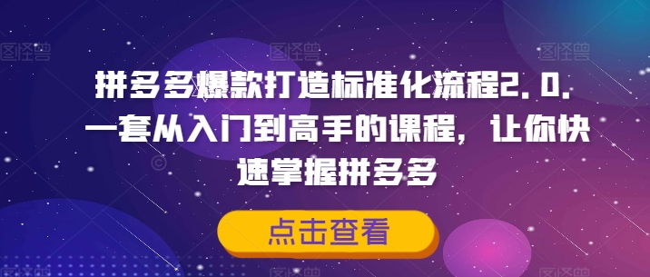 拼多多爆款打造标准化流程2.0，一套从入门到高手的课程，让你快速掌握拼多多-无双资源网