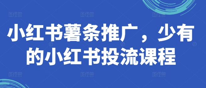 小红书薯条推广，少有的小红书投流课程-无双资源网