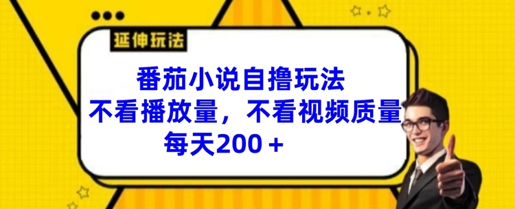 番茄小说自撸玩法，不看播放量，不看视频质量，每天200+【揭秘】-无双资源网