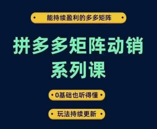 拼多多矩阵动销系列课，能持续盈利的多多矩阵，0基础也听得懂，玩法持续更新-无双资源网